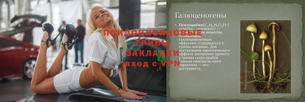 тгк Вяземский