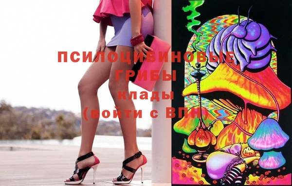 тгк Вяземский