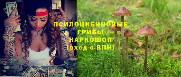 тгк Вяземский