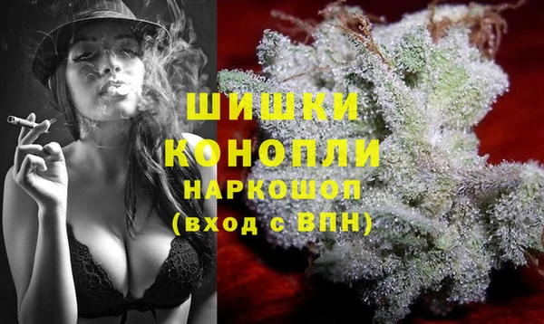 тгк Вяземский
