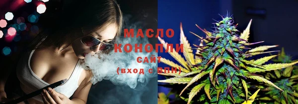 тгк Вяземский